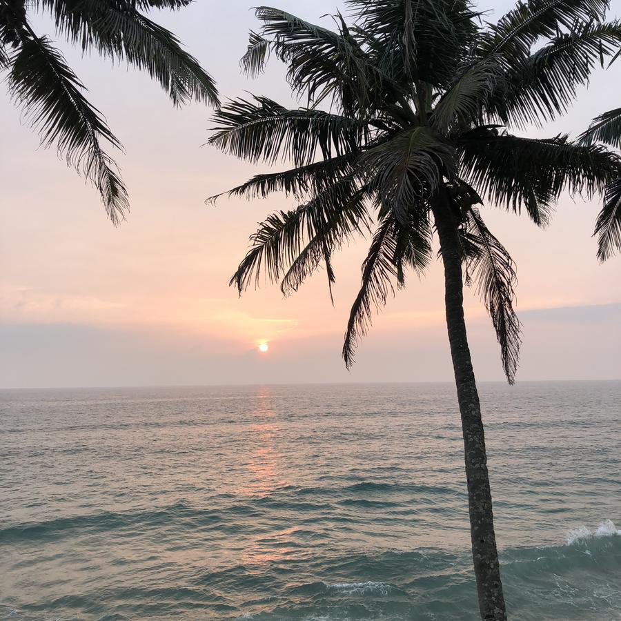 The Villa Varkala Ngoại thất bức ảnh