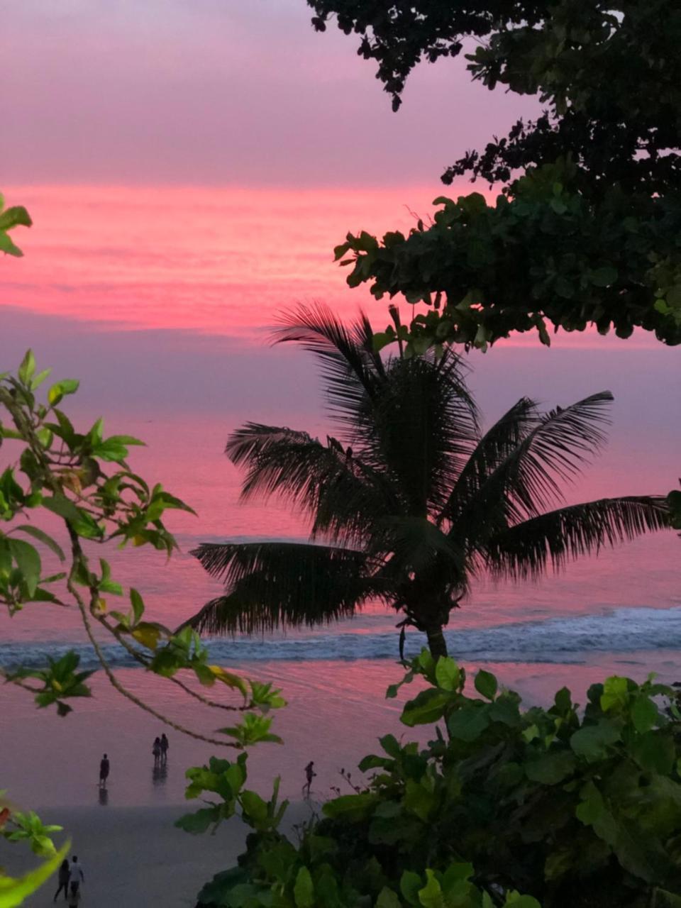 The Villa Varkala Ngoại thất bức ảnh
